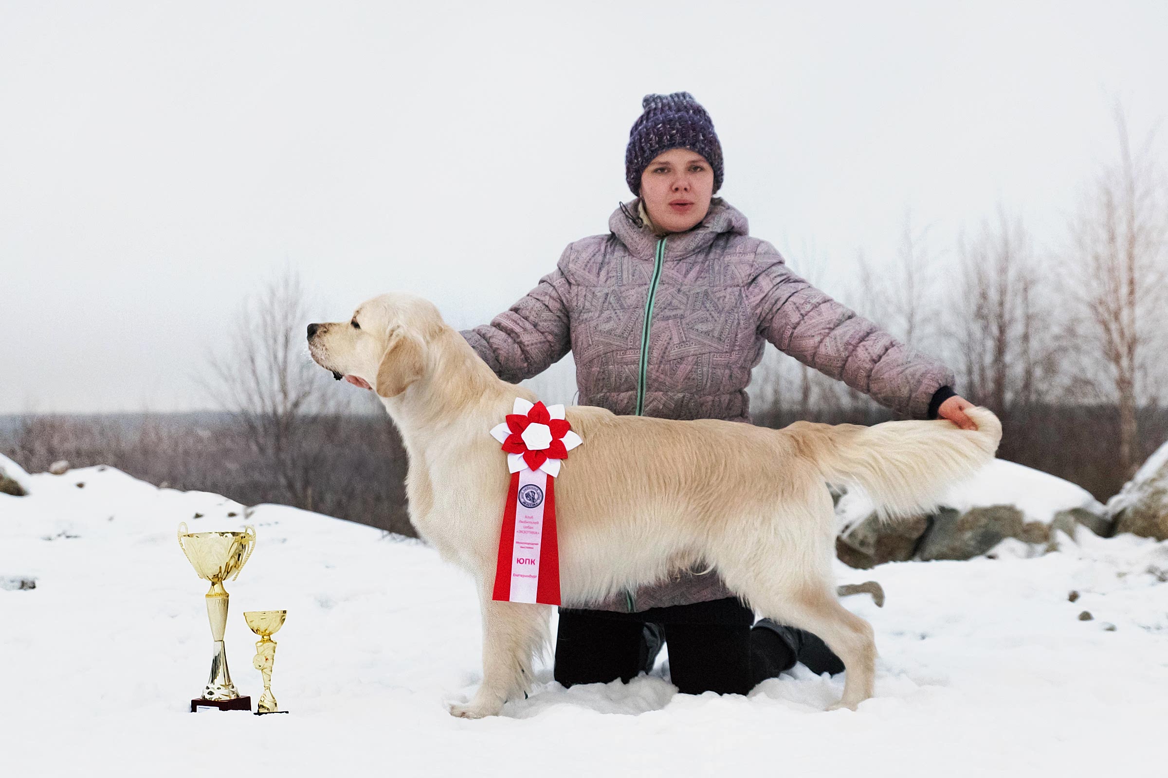Кибеллайн Жиггер Виннер Тэйк Итс Олл